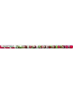 *Graphite pencil LYRA Boy & Girl HB triangle 100pcs in pot