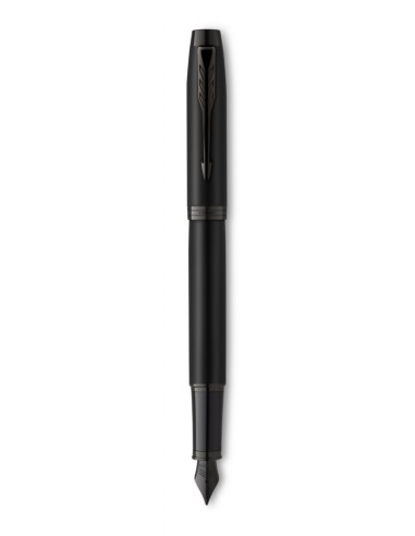Fountain pen Parker IM Achromatic Black BT Fine