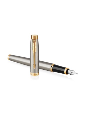 PARKER IM Fountain Pen, Brushed Metal, Fine Nib with Blue Ink Refill (1931649)