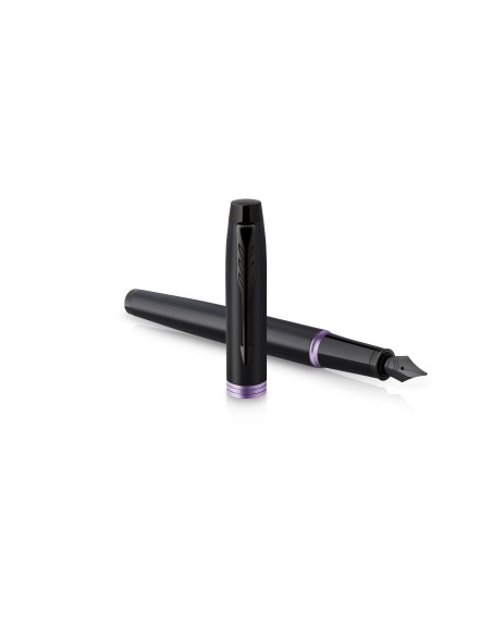 Im Professionals Amethyst Purple Fountain  Pen  -  F