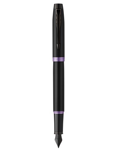 Im Professionals Amethyst Purple Fountain  Pen  -  F