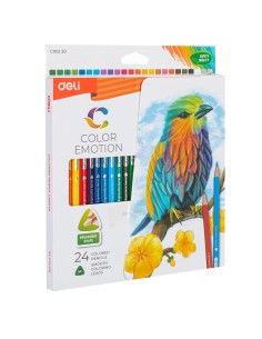 Colored Pencil Deli 24 colors assorted