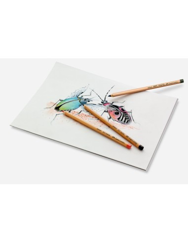 Värvipliiats Faber-Castell PITT PASTEL värv 167