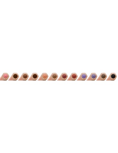 Värvipliiatsid Lyra Color-Giant Skin Tones 12-värvi