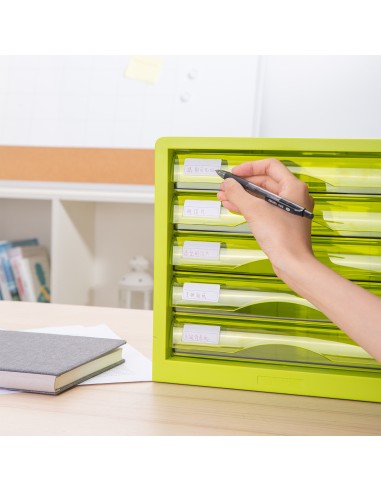 5-drawer File Cabinet