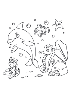 The creative colouring book College Sea Life  210x220/23 sheets, spiral on top 2