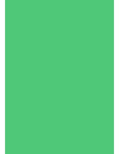 Cardboard A1, 160g, 100 sheets, green