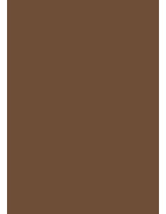 Cardboard A1, 160g, 100 sheets, coffee