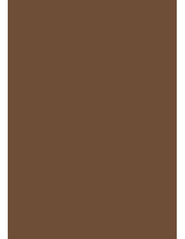 Cardboard A1, 160g, 100 sheets, coffee