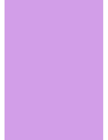 Cardboard A1, 160g, 100 black sheets, light purple