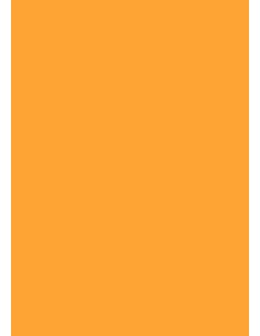 Cardboard A1, 180g, 100 sheets, orange