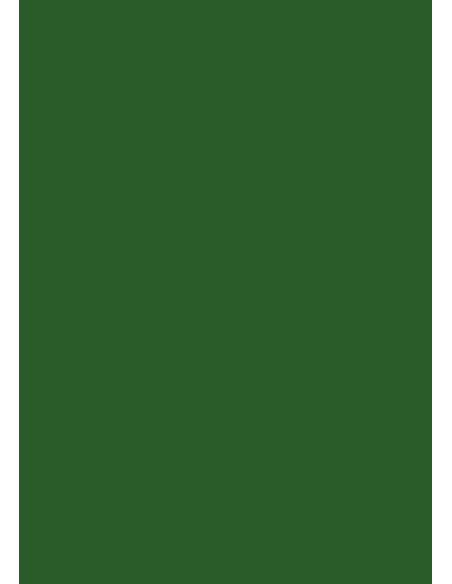 Cardboard A1, 160g, 100 sheets, deep green