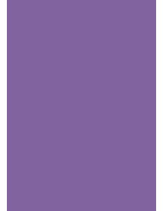 Cardboard A1, 160g, 100 sheets, purple