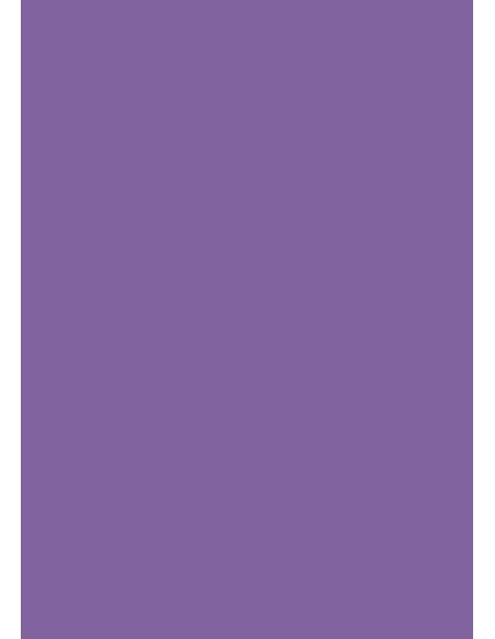Cardboard A1, 160g, 100 sheets, purple