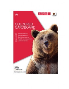Carton College A4/20 sheets, brown, 160g/m2