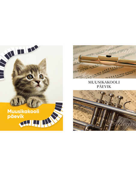 Muusikakooli päevik, klamberköide kartongkaas