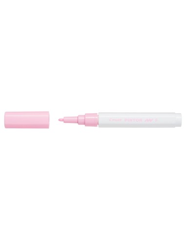 Pintor Marker Fine Pastel PPicnsk