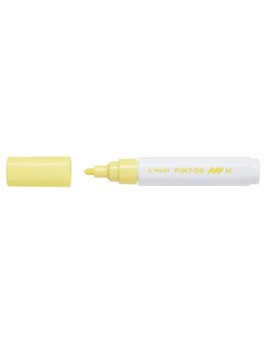 Pintor Marker Med. Pastell