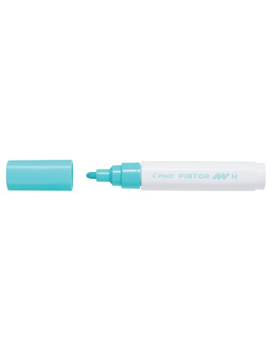 Pintor Marker Med. Pastell