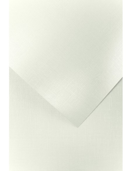 Decorative card paper A4 HOLLAND diamond white 20 pcs/box 230g/m2