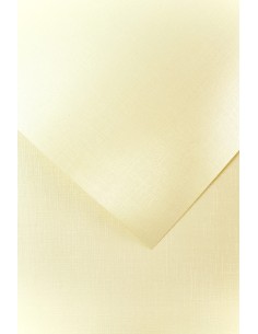 Decorative card paper A4 HOLLAND cream 20 pcs/box 230g/m2