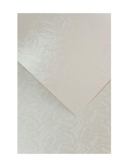 Decorative card paper A4 FROST pearl white 20 pcs/box 230g/m2