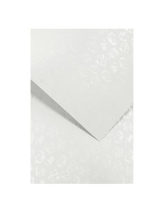 Decorative card paper A4 Small Roses white 20 pcs/ box 220g