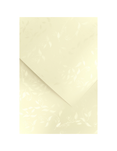 Decorative card paper A4 Liana cream 20 pcs/ box 220g
