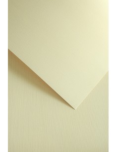 Decorative card paper A4 NATTE cream 20pcs/box 250 g/m2