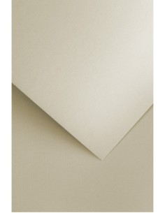 Decorative card paper A4 Florida beige 20 pcs/ box 250g 2