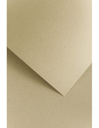 Dekoratiivkaardipaber Pipar pruun 20 tk/pk, 220 g/m2