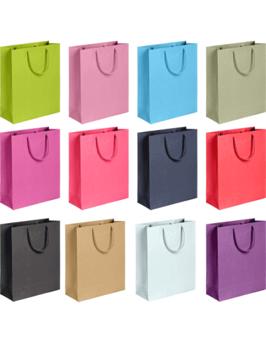 Paper gift bag "deVENTE. Classic" vertical, size 25x37x9 cm, paper 210 g/m², assorted 12 colours