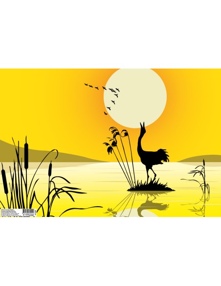 Bookcover paper College 1 sh (500x335)