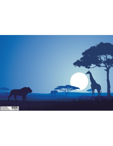 Bookcover paper College 1 sh (500x335)