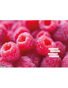 Exesice book paper College 1pcs with picture