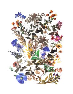 Stickers, transparent field flowers 40pcs/pack