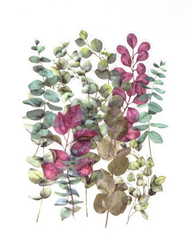 Stickers, transparent barberries 40pcs/pack
