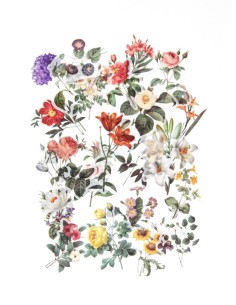 Kleebised Summer Garden 53tk/pk