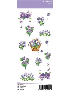 Labels Charlot (Violets)