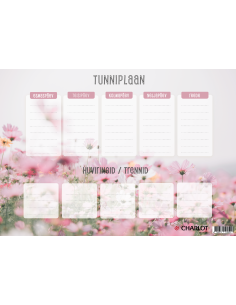 Plakat Charlot Tunniplaan A3