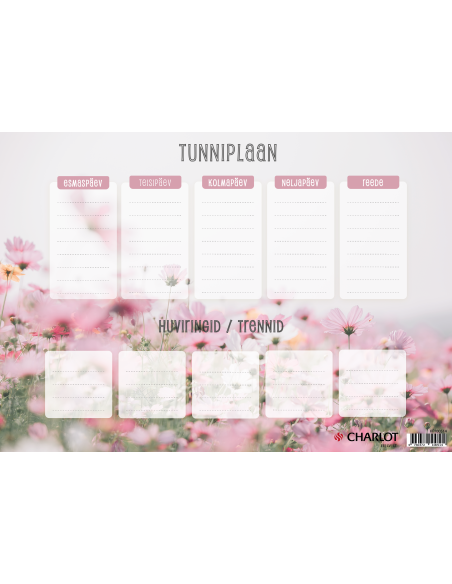 Plakat Charlot Tunniplaan A3