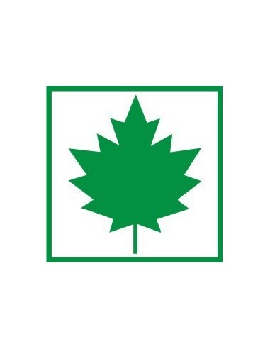 Magnet sticker green maple leaf