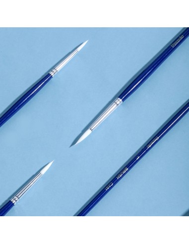 Paint Brush DELI 6pcs/opp bag;Round brush；Hard nylon;Aluminum ferr Asst.