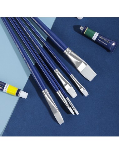 Paint Brush DELI 6pcs/opp bag;Flat brush；Hard nylon;Aluminum ferru Asst.