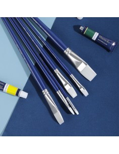 Paint Brush DELI 6pcs/opp bag;Flat brush；Hard nylon;Aluminum ferru Asst. 2