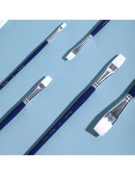 Paint Brush DELI 6pcs/opp bag;Flat brush；Hard nylon;Aluminum ferru Asst.