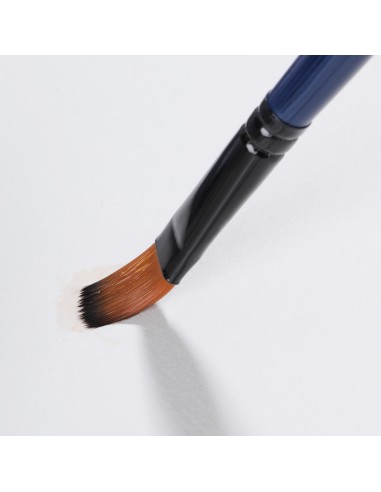 Pintslite komplekt DELI 6tk/pk vesivärv (ümar nr 4,6,8 ümar 4,6,8 lapik) nailon, blistris