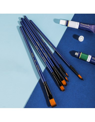 Pintslite komplekt DELI 6tk/pk vesivärv (ümar nr 4,6,8 ümar 4,6,8 lapik) nailon, blistris