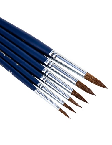Pintslite komplekt DELI 6tk/pk (ümar nr 2,4,6,8,10,12) mix karv, blistris