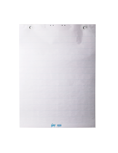 Flip chart pad COLLEGE 600x850/50 sheets ruled